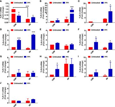 Unwinding the mechanism of macrophage repolarization potential of Oceanimonas sp. BPMS22-derived protein protease inhibitor through Toll-like receptor 4 against experimental visceral leishmaniasis